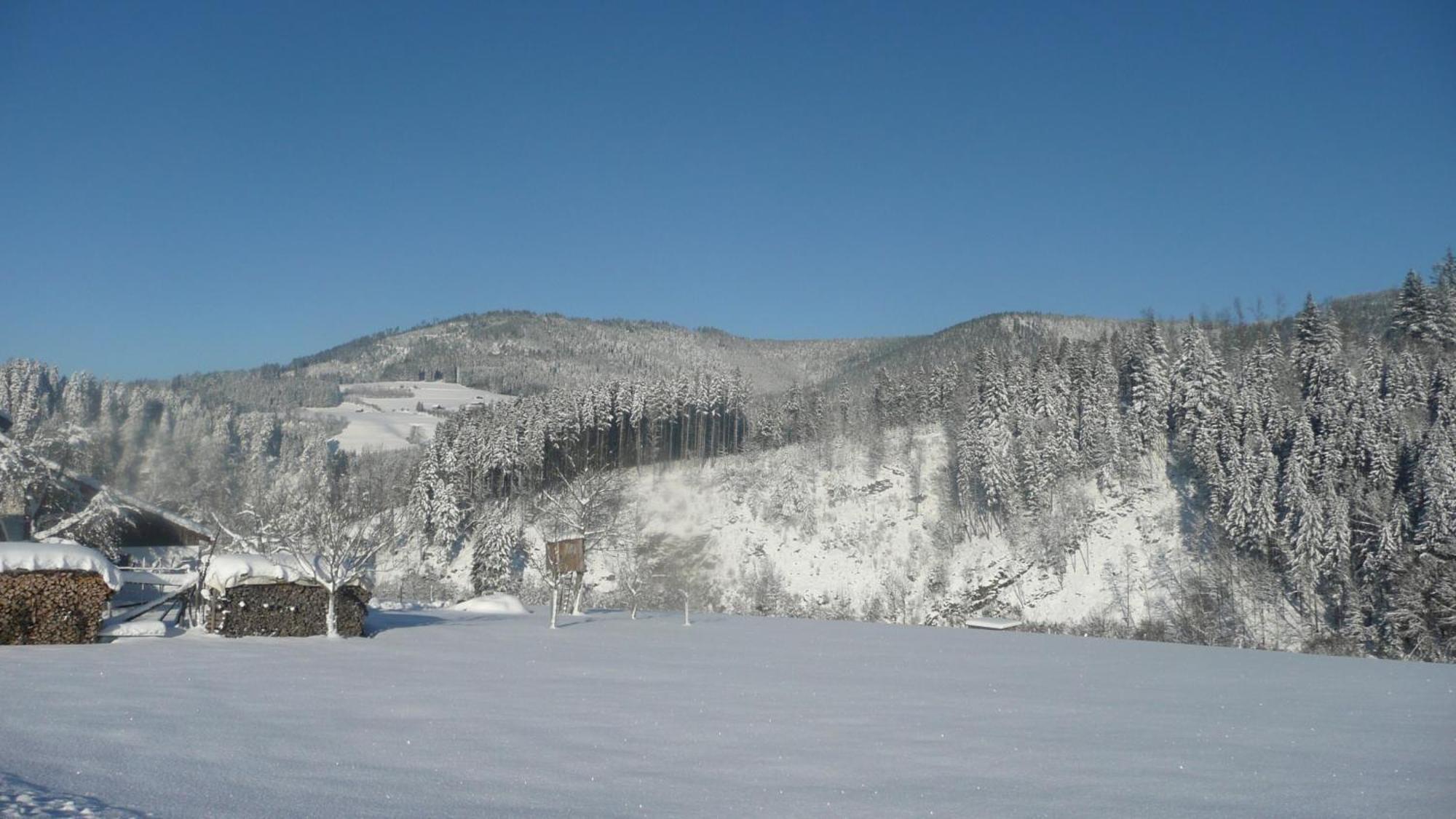 Sackmann Wanderhotel Baiersbronn Bagian luar foto